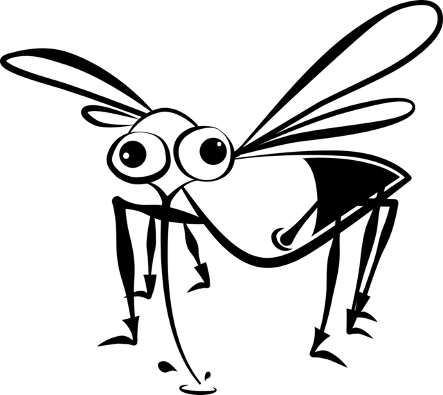 יתוש